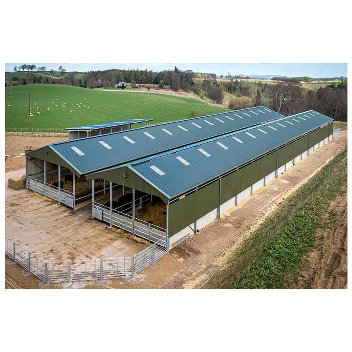 High quality goat house farm sheds steel structure pig / sheep / cow farming house prefab barn for animals