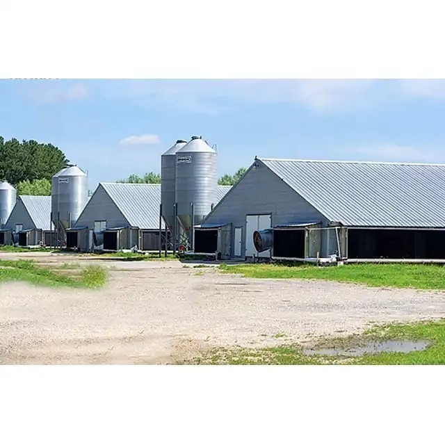 Low cost steel poultry shed in pakistan steel shed warehouse goat house cow shed farm building cattle frame steel structure