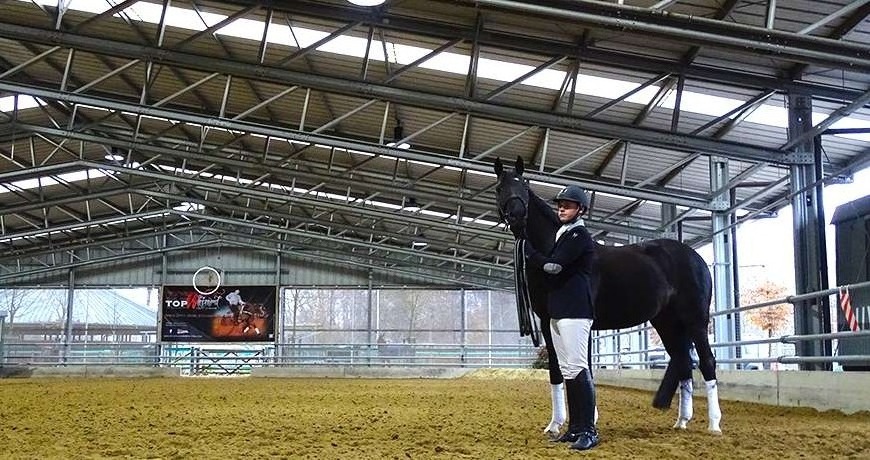 Horse barn shed prefab workshop building steel structures steel frame equestrian barn horse park covered horse riding arena