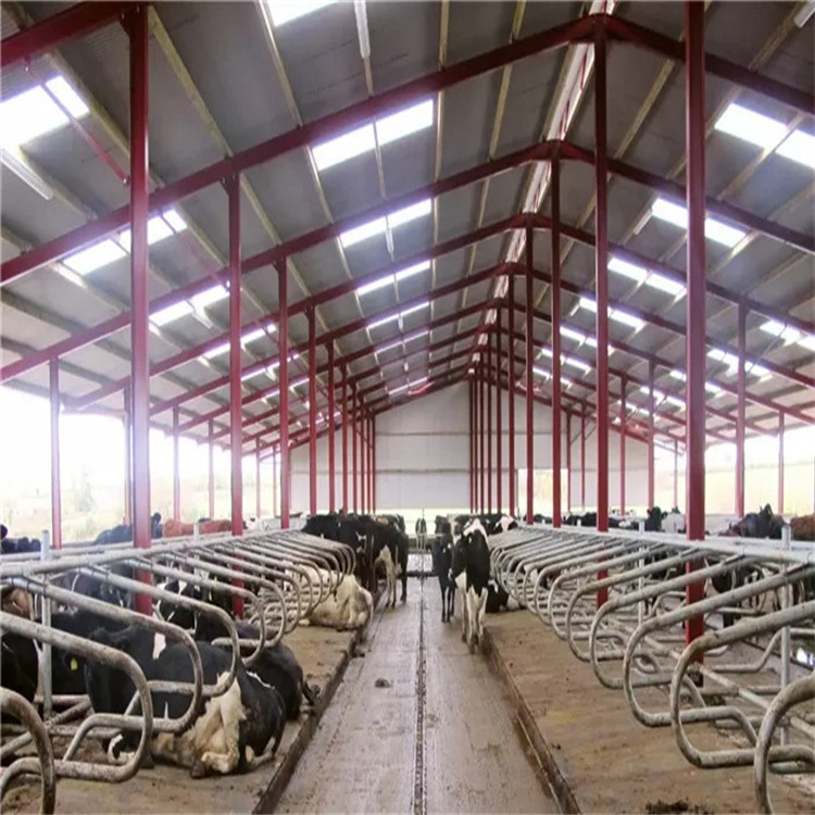 Low cost steel poultry shed in pakistan steel shed warehouse goat house cow shed farm building cattle frame steel structure