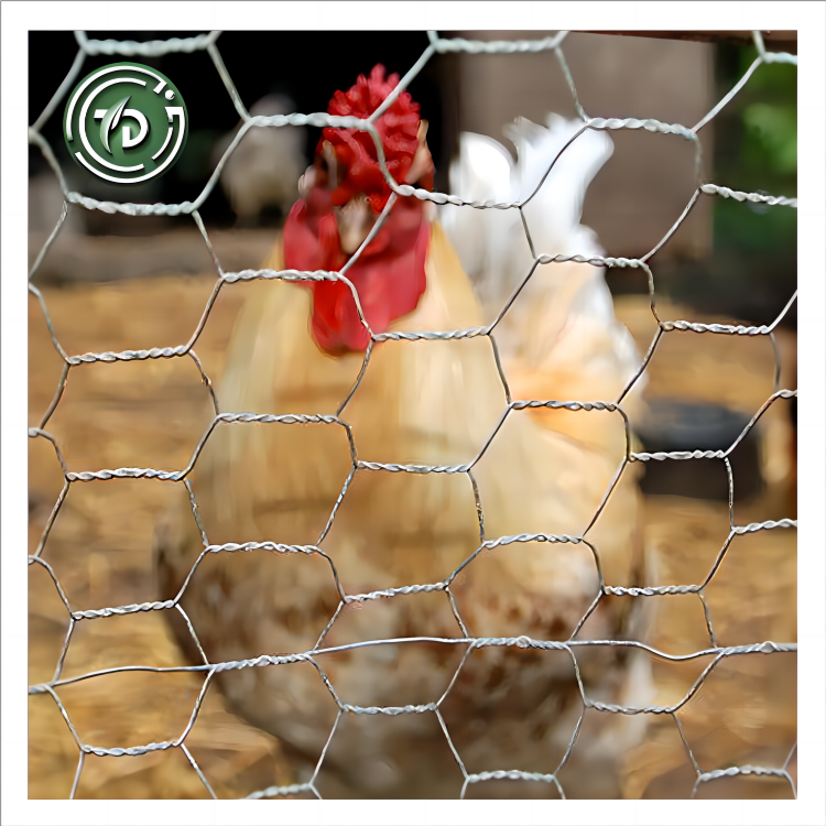 Pvc coated Low price poultry Hexagonal wire fence chicken hexagonal net Galvanized hexagonal wire mesh Chicken wire mesh roll