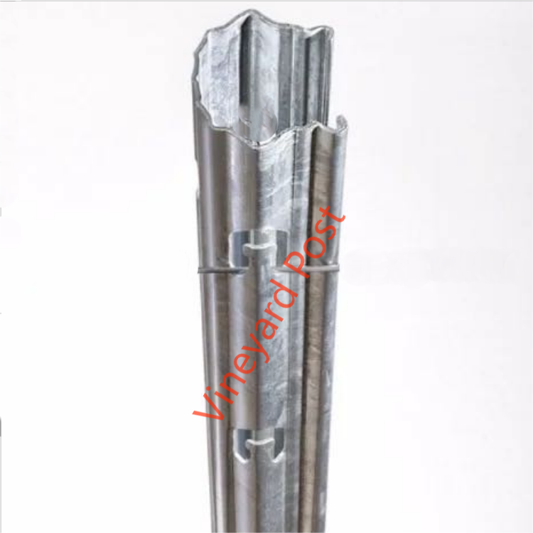 hot dipped galvanized vineyard poles galvanized steel vineyard stakes metal grape vine stakes