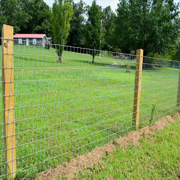 cheap electric horse grassland goat sheep cattle fencing farm/horse fence designs field fence