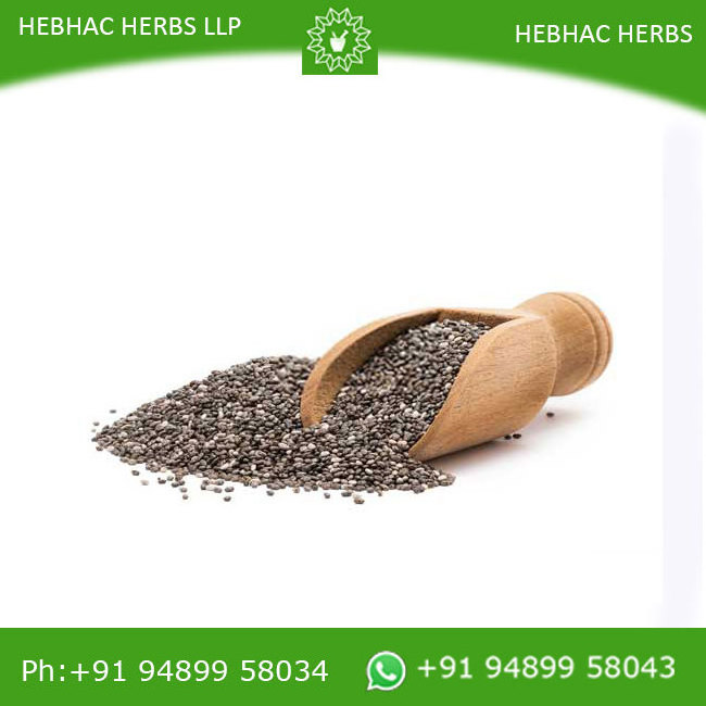 Chia Seeds Bulk Supplier Best Price | Chia seed suppliers from India | Food grade High Quality Chia Seeds Bulk Supplier India