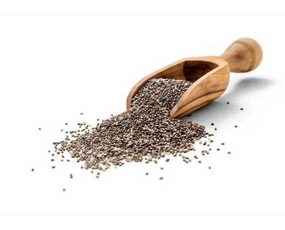 Chia Seeds Bulk Supplier from India / Food grade chia seed suppliers