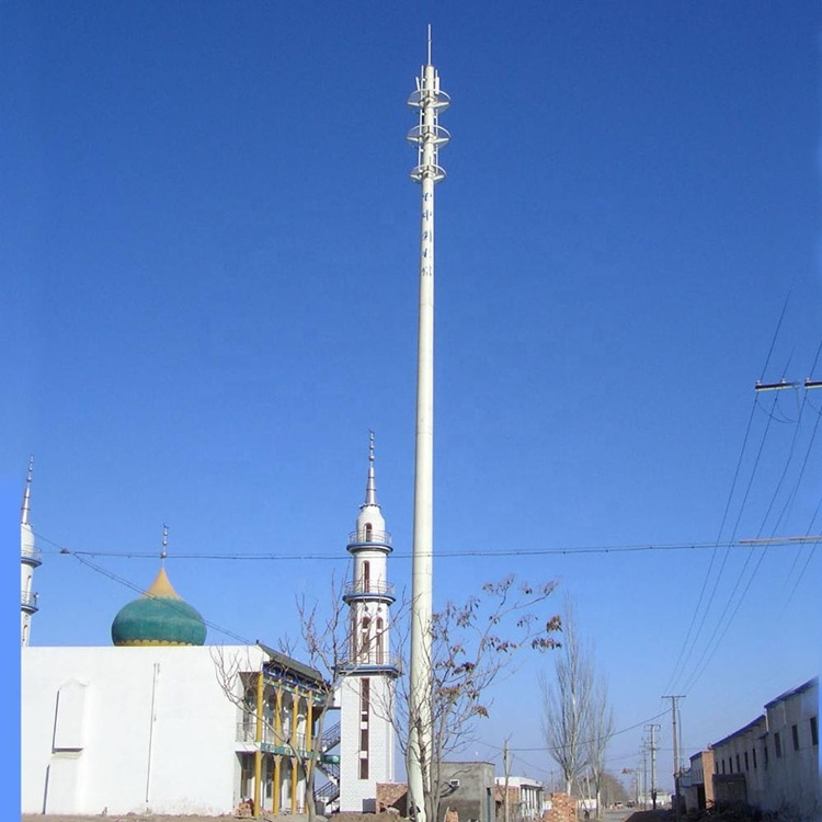 Customized Telecommunication Steel Monopole CCTV Mobile Tower