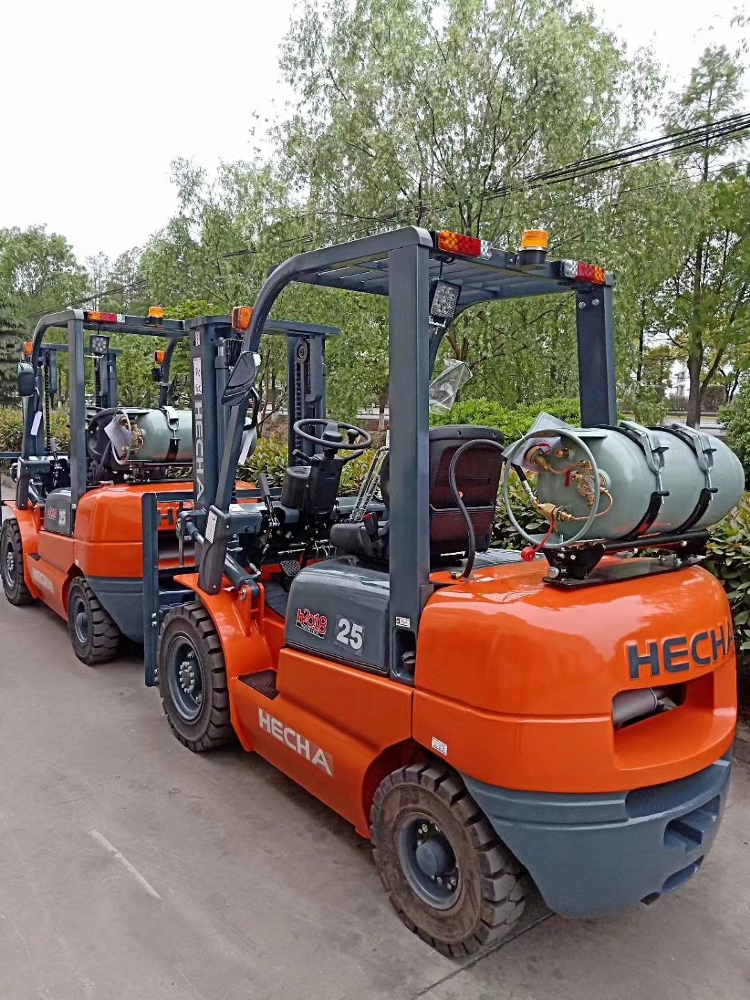 3Ton LPG Forklift with Automatic Translation Lifting Truck Engine Motor Home Use and Hotel Industries Power Gasoline