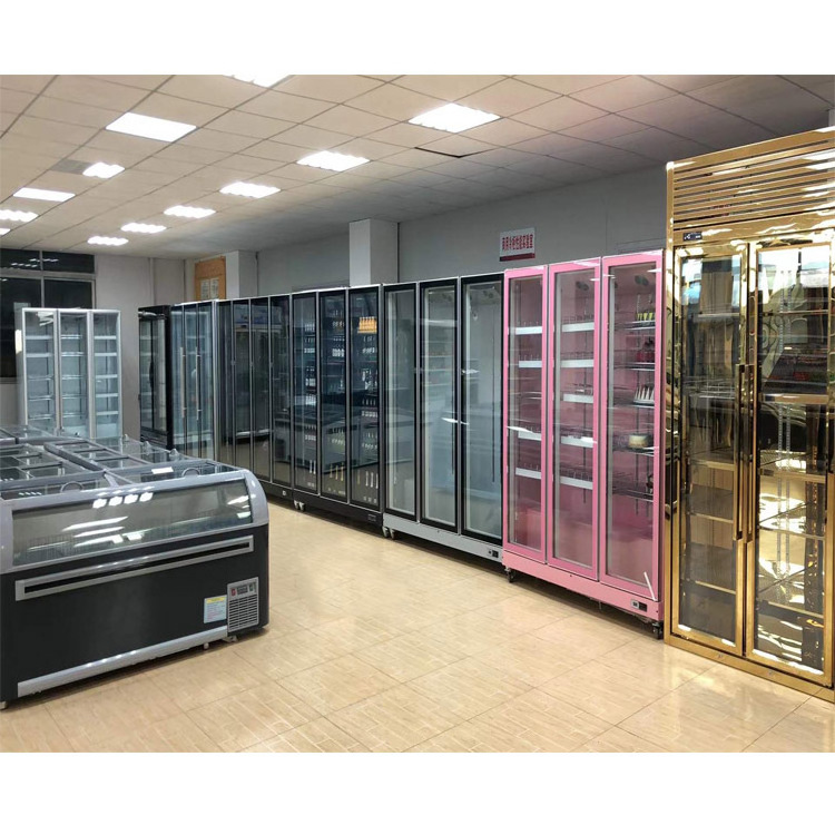 Mini Refrigeration Equipment Bottom-freezer Refrigerators Drink Beverage Display Refrigerator Freezer Display Cooler freezers CE