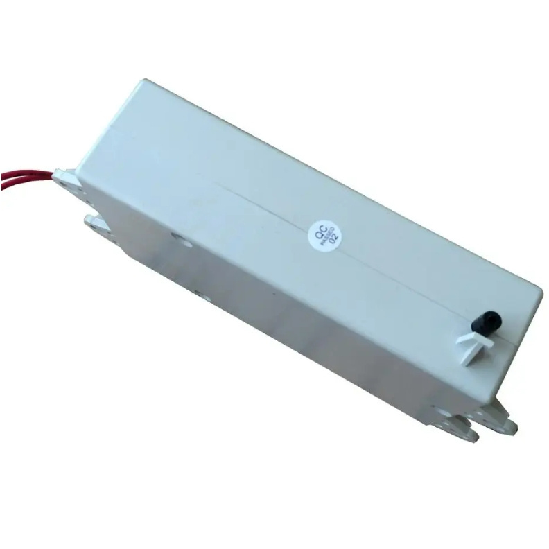 Wholesale Price 200-300 mg/hr Ozone Generator for Water Purification Machine Ozone Generator Module