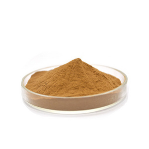 Wholesale Price Enoki Mushroom Powder Organic Enoki Mushroom Extract