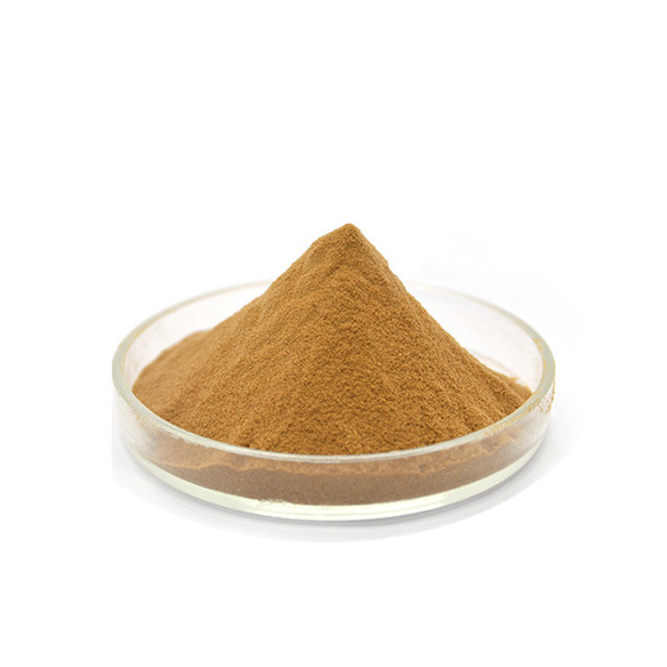 Organic tea tree mushroom extract natural Tree Mushroom Extract Powder