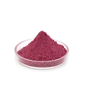 Wholesale Aronia Berry fruit powder Good  price Aronia Berry extract powder