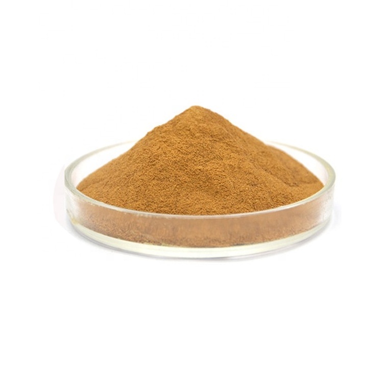 Organic lentinan mushroom powder shiitake mushroom extract 90% lentinan powder