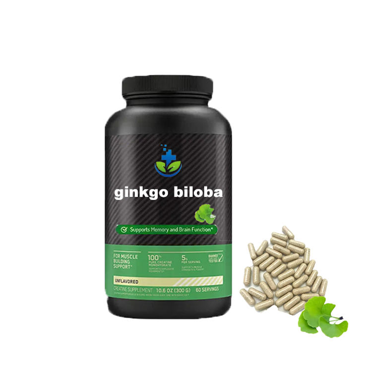 high quality organic ginkgo biloba leaf extract supplement ginkgo biloba extract capsules