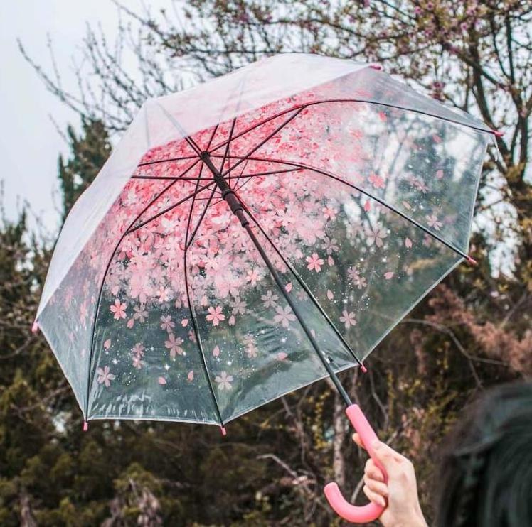 Cute Flower Clear Transparent Bubble Umbrellas for Kids Girls Boys Dome Stick Parasol Windproof Cherry Blossoms Umbrella