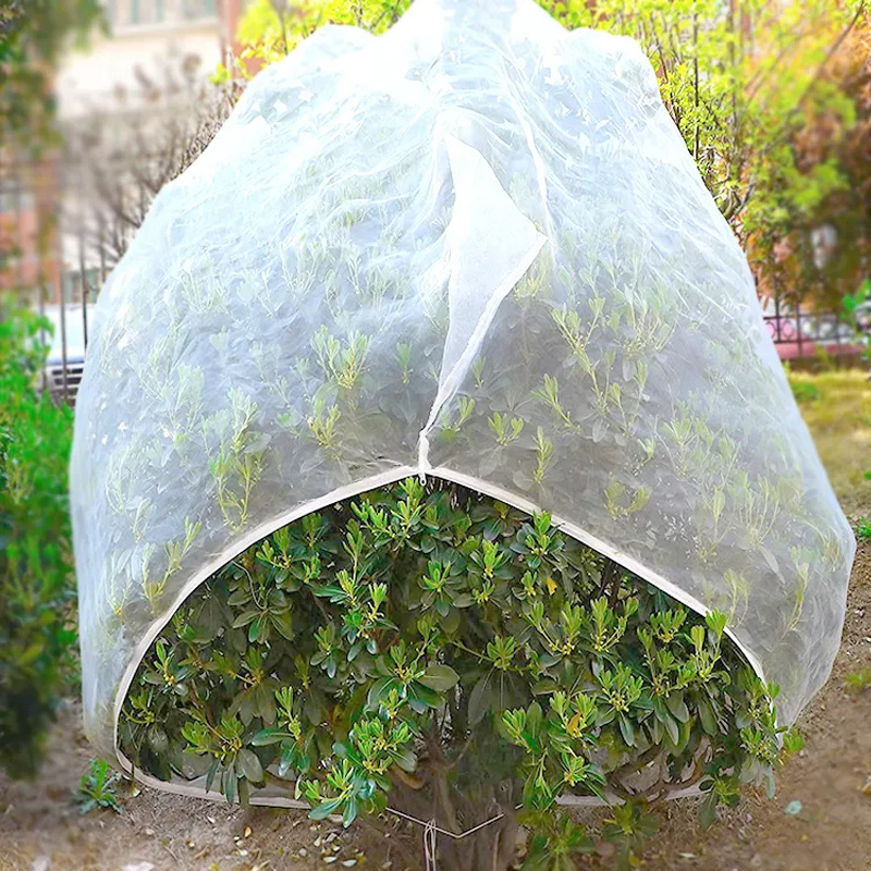 low price Breathable fruit tree insect netting barrier netting bags cover