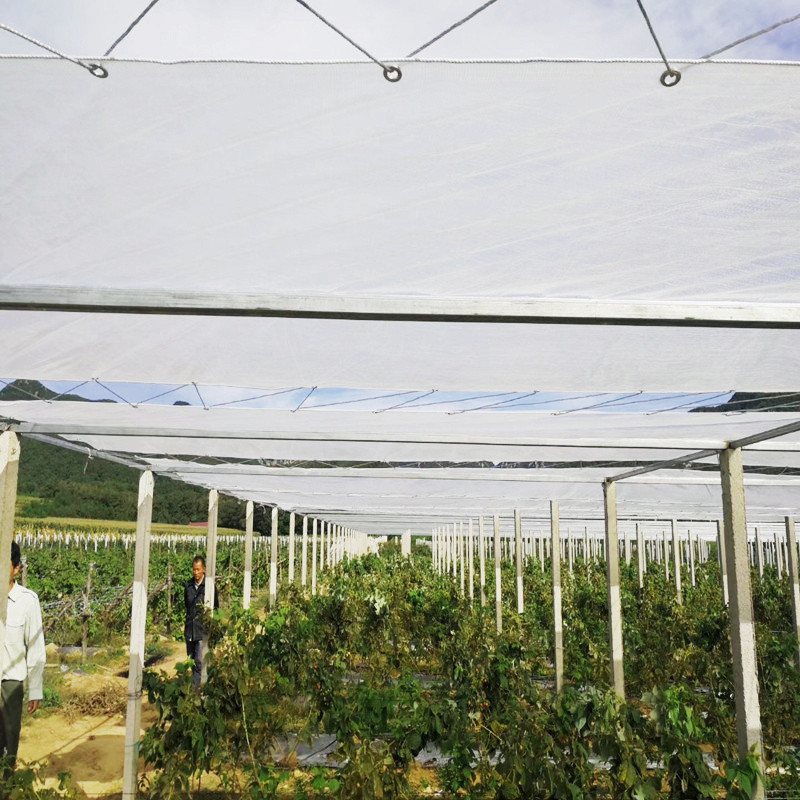 high quality 10x10 mesh rot resistance solaring classic transparent woven greenhouse plastic film