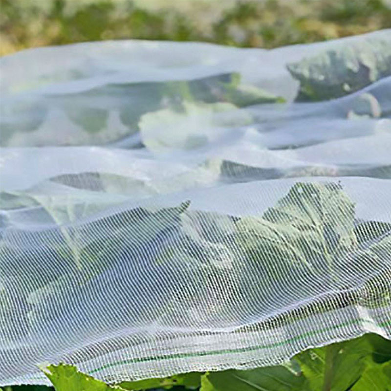 Best sale long service life agricultural insect proof net anti insect net for green house