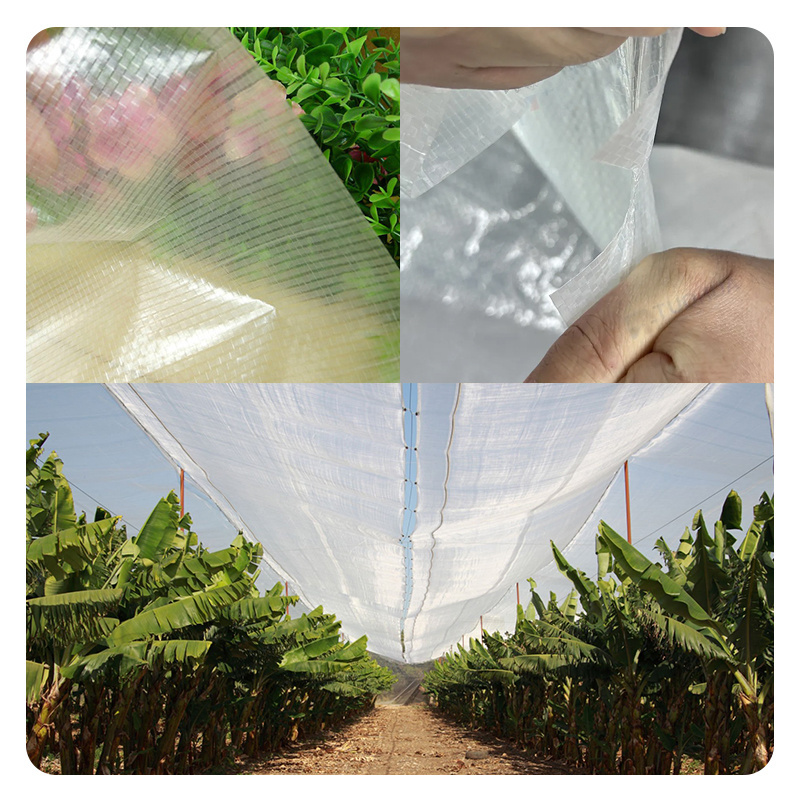 high quality 10x10 mesh rot resistance solaring classic transparent woven greenhouse plastic film