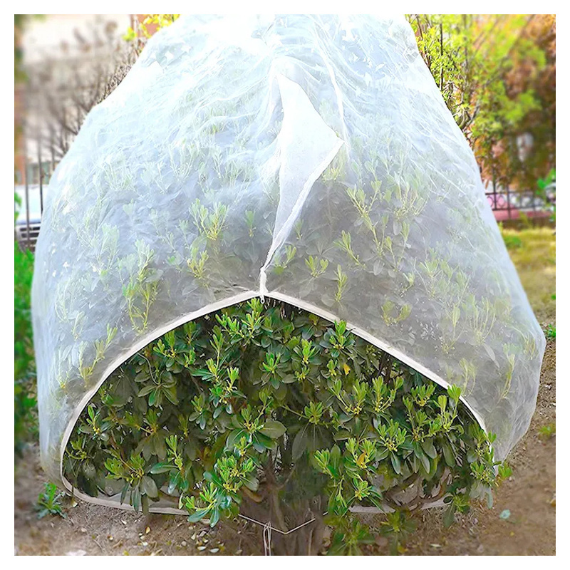 Low cost large size anti insect fruit protection cover bag plant protecting bag