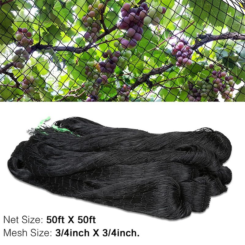 anti bird netting/bird resist mesh for fish farming and breeding/high tensile strength plastic bird net