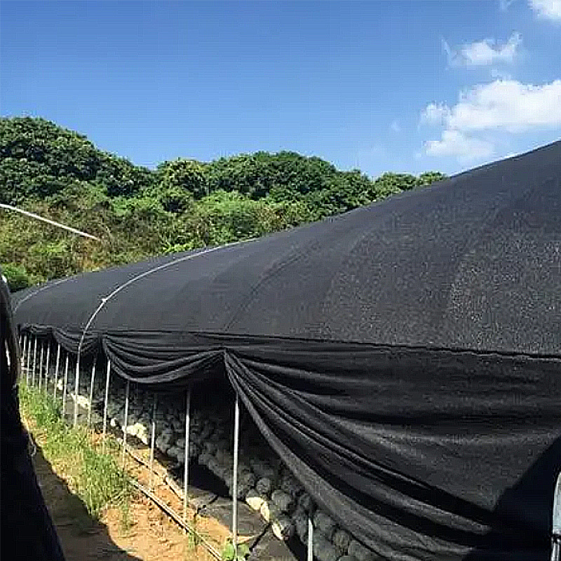 Hot sale vegetable nursery shade cloth agriculture 60% shade net for greenhouse