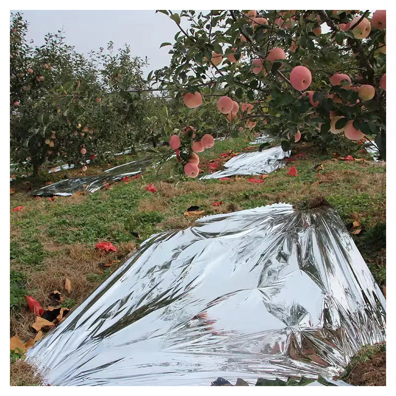 Low cost agricultural plastic PE metalized mulch film for orchard fruit trees