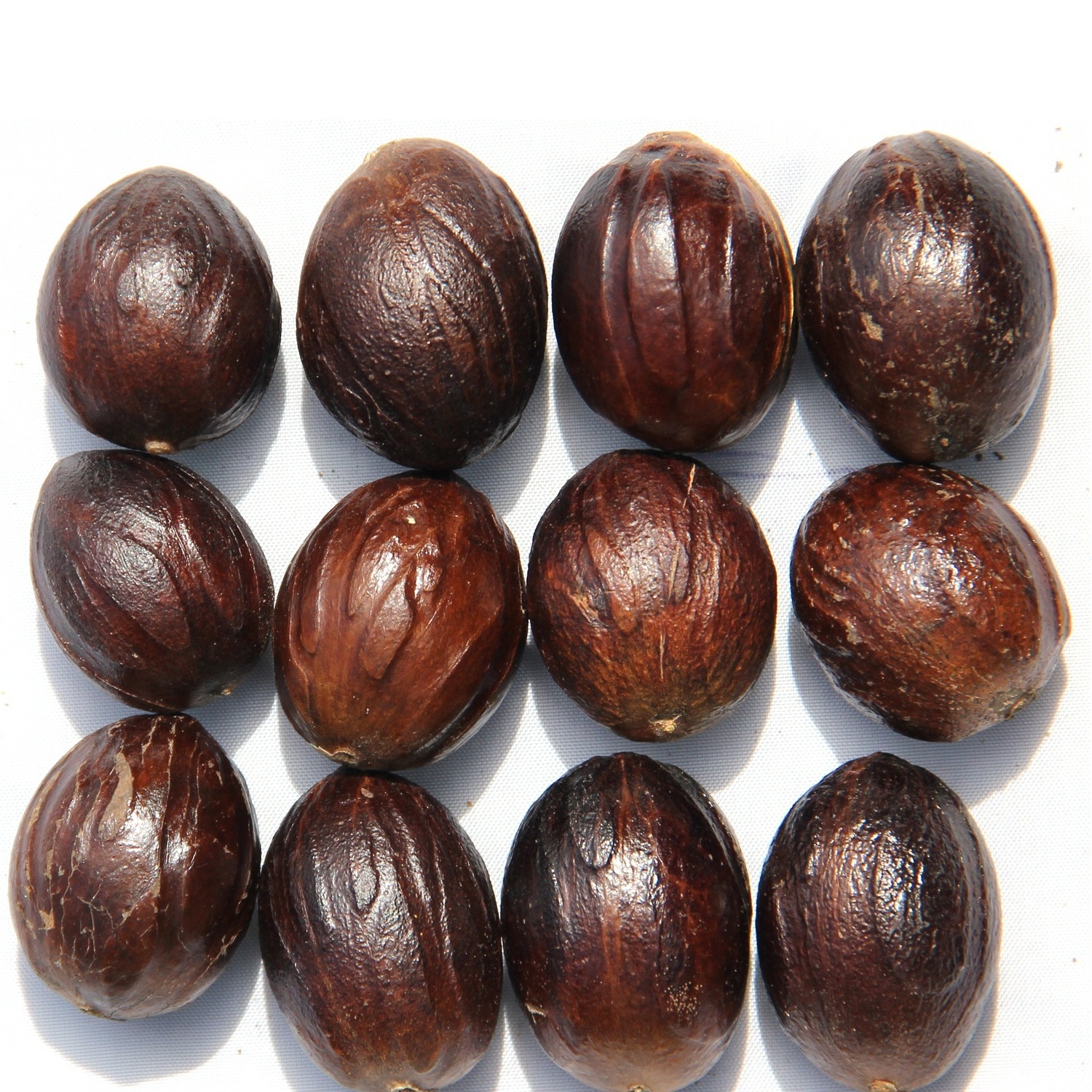 NUTMEG WITH SHELL Premium Quality Grade A 100% Organic Nutmeg WITHOUT SHELL + NUTMEG POWDER