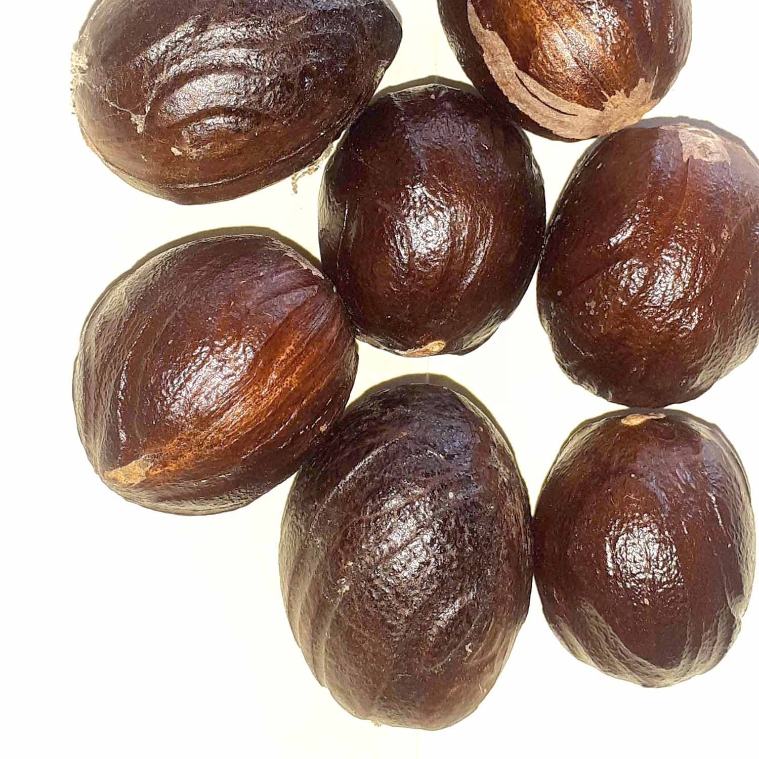 Premium Quality Spice WHOLE NUTMEGS Fresh Grade A Premium Quality 100% Organic Nutmeg WITH SHELL And WITHOUT SHELL Whole Nutmeg