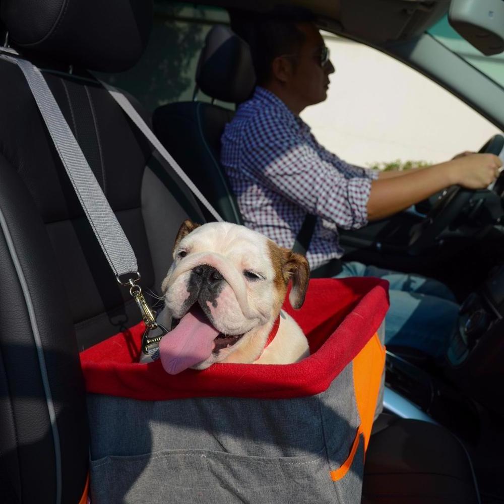 Folding Safe Travel Carrier Breathable Sided Bag Pet Dog Car Seat