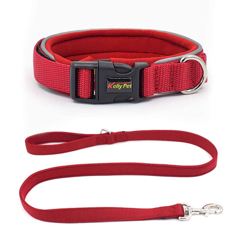 Thick Material Dog Designer Collar and Leash Set with Quick Release Buckle Adjustable Dog Collars Reflective Dog Leash