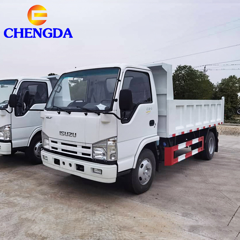 2024 Cheap Price ISUZU Small Tipper Truck 4x2 4x4 10ton Mini Light Cargo Isuzu Truck