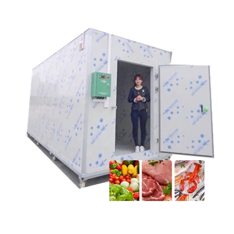 Hello River Brand Portable Chicken Cold Storage Room Factory Mini Chicken Coolroom Chambre Froide Blast Freezer Container Swing