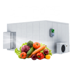 Hello River Brand Top Selling Storage Refrigeration Cooling System Cooler Rooms High Quality Walk-in Deep Freezer Cold Room For