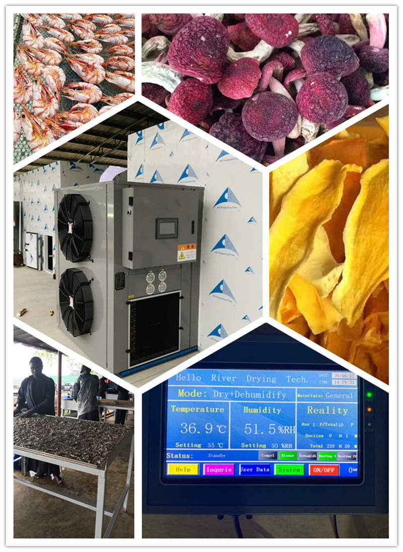 Hello River Brand Dryer Heat Pump Dryer Machine Potato Drying Machine Cassava Yam Drying Oven Commercial Fruit Dryer CE Provided