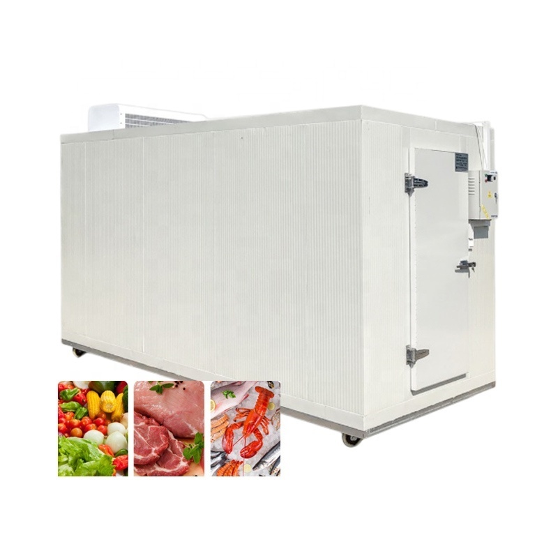 Hello River Brand Portable Chicken Cold Storage Room Factory Mini Chicken Coolroom Chambre Froide Blast Freezer Container Swing