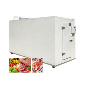 Hello River Brand Portable Chicken Cold Storage Room Factory Mini Chicken Coolroom Chambre Froide Blast Freezer Container Swing