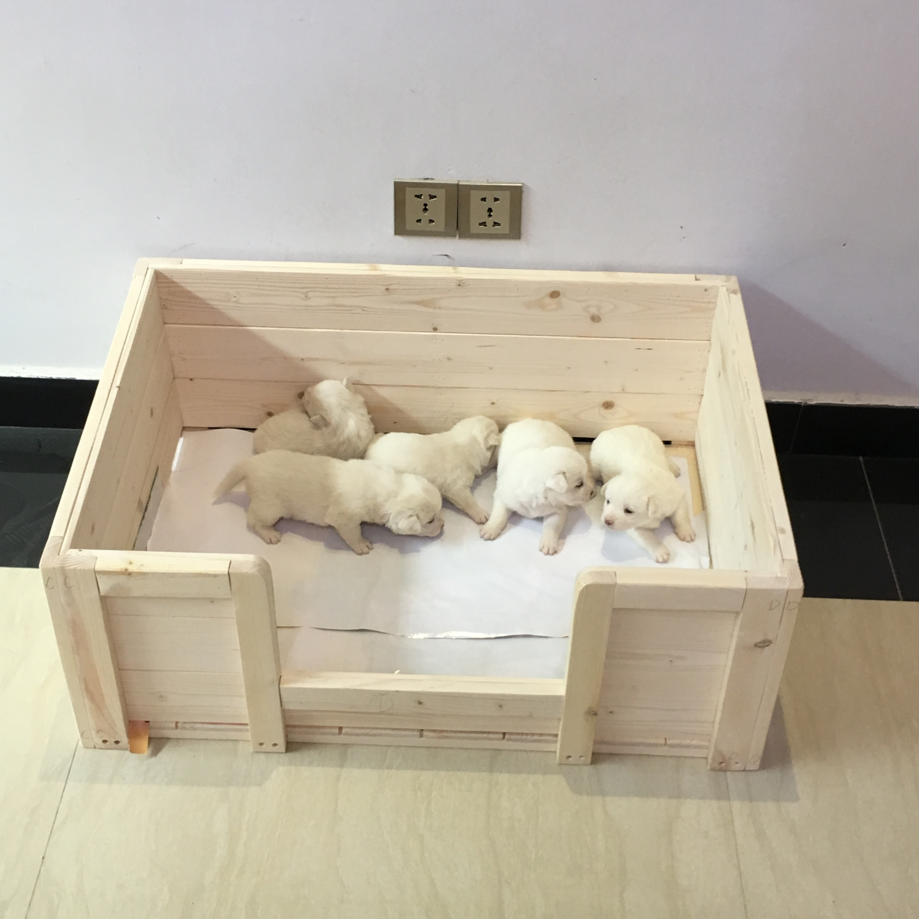 Puppy Playpen Puppy Box Puppy Dog Box Whelp Box Pet Fence Dog Fence