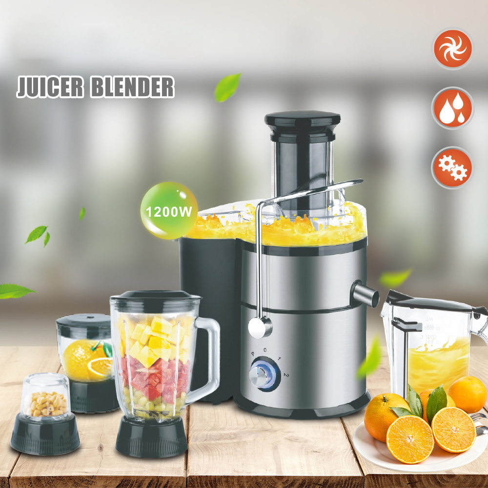 1L Household Automatic Fruit Vegetable Juicer Hot Sale Stainless Steel Commercial 4 In 1 Juicer