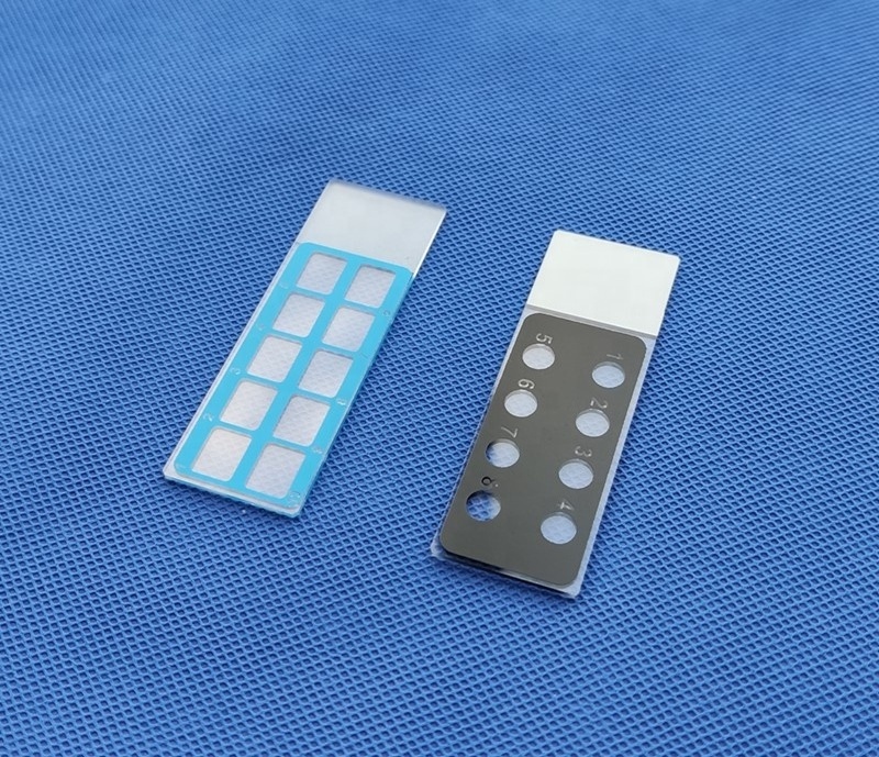 Lab use Color Glass Microscope slide printed with design pattern for Diagnostic