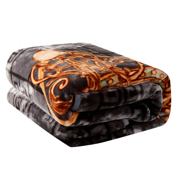 China Factory High Quality Autumn Winter Super Soft Double Thickening 2ply Raschel Mink Blanket