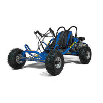 4 wheels Outdoor buggy gas racing go kart 6.5HP ,196CC go karts whole price top quality upgrade welcome