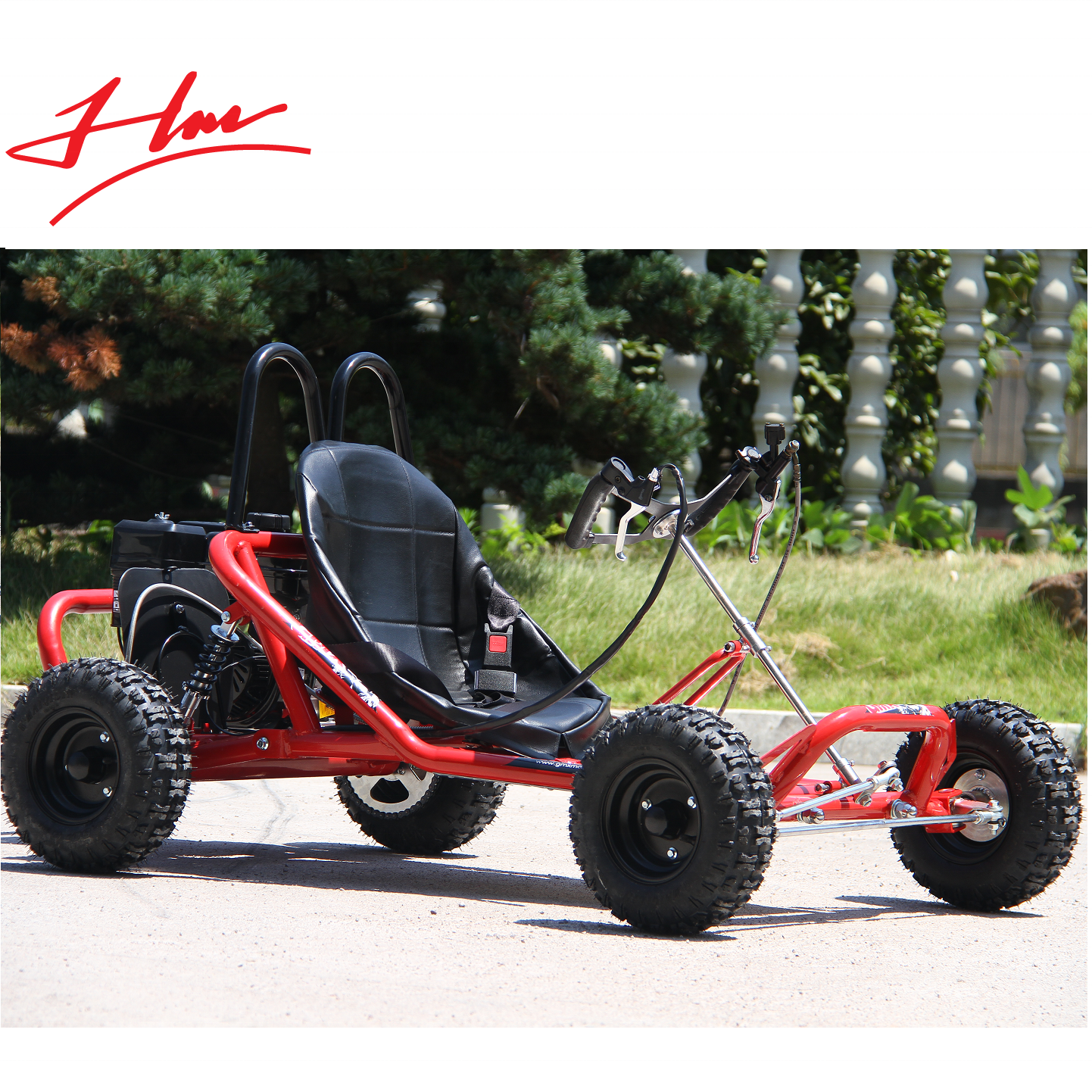 Gas Powered 196CC Go Kart Outdoor buggy off-racing kart for adult