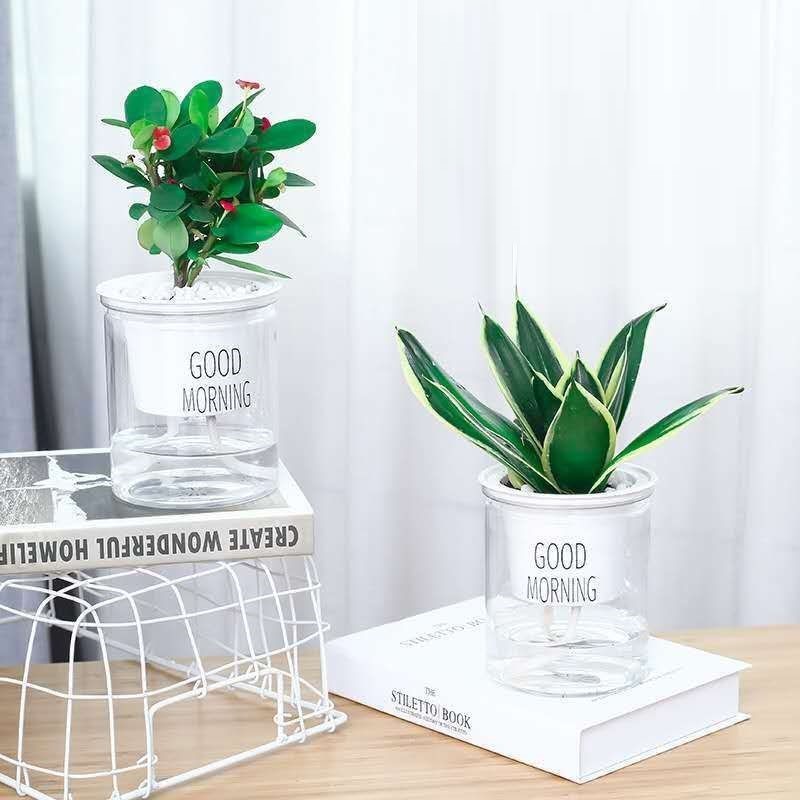 IE indoor clear small home decor self watering flower pot outdoor large hydroponic transparent garden flower pots in bulk