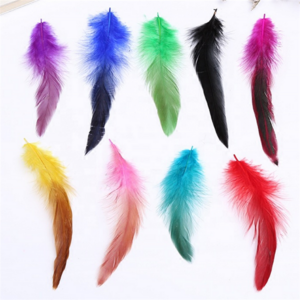 DIY craft colorful Chicken tail Pheasant dyeing feathers for sale