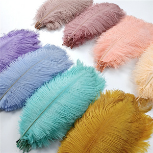 Wholesale mini festival ostrich feather plumes for sandal shoes and table lamp light tree