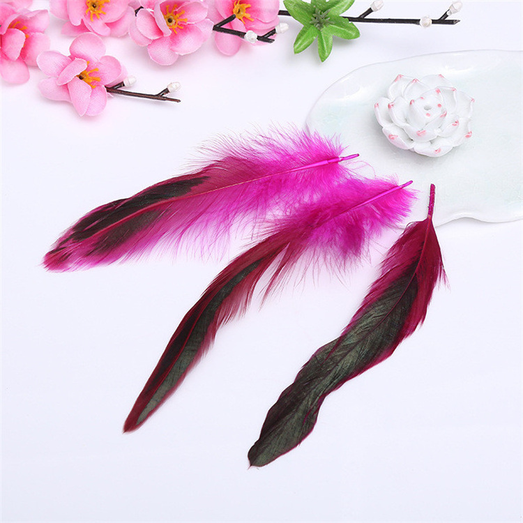 DIY craft colorful Chicken tail Pheasant dyeing feathers for sale