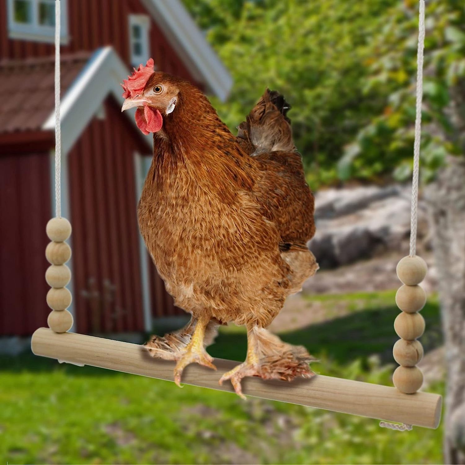 Chicken Swing Toy for Coop -Natural Wood Perch Ladder for Poultry Run Rooster Hens Chicks Pet Parrot Poll Stress Relief for Bird