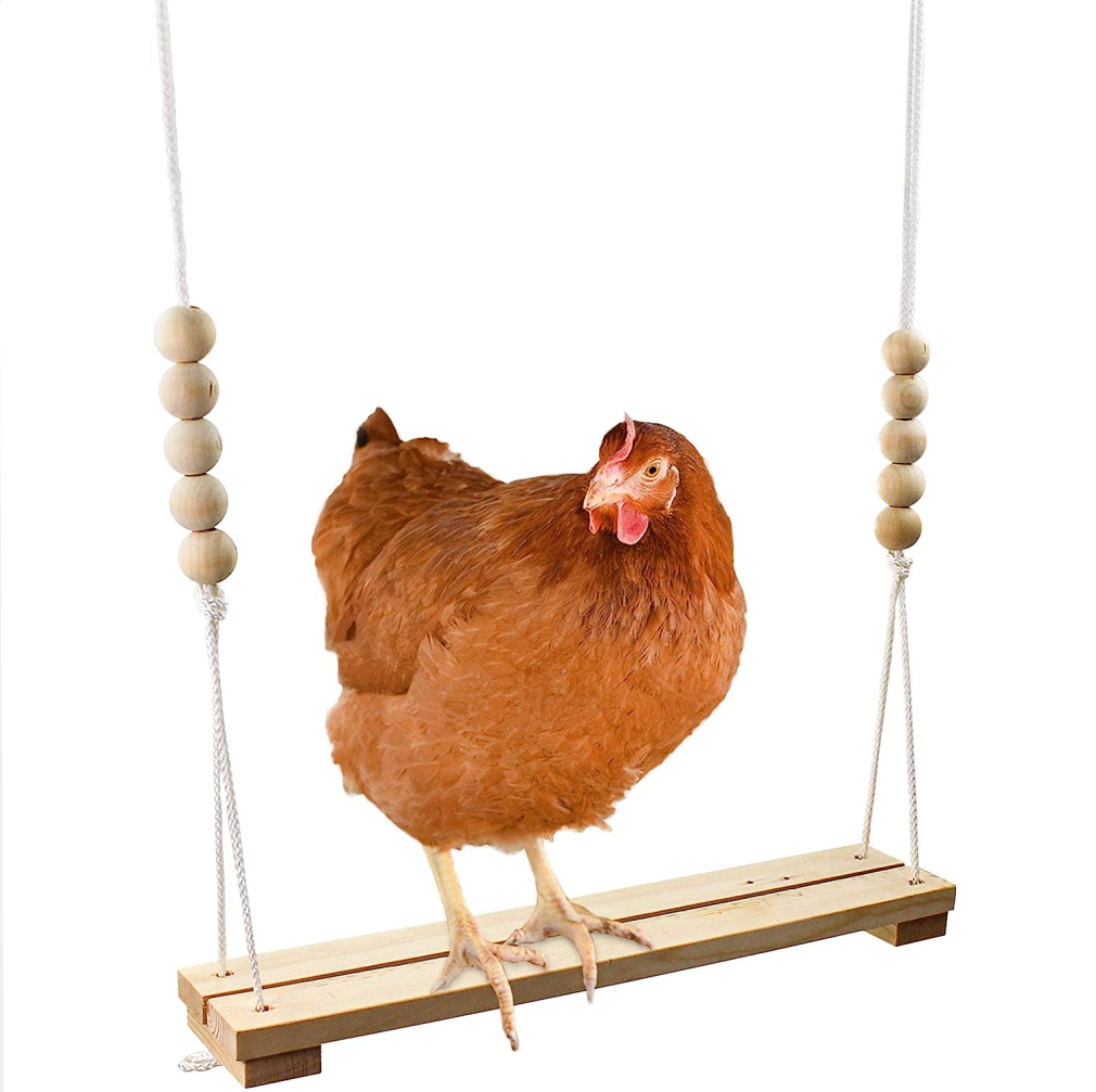 Chicken Swing Toy Stand Holder for Coop -Wood Perch Ladder for Poultry Run Rooster Hens Chicks Pet Parrot Macaw