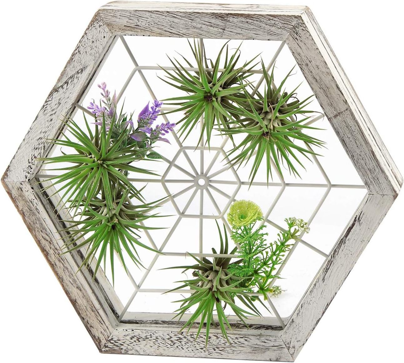 Hexagon Rustic Wooden Air Plant Frame Holder Hanger with Spider Web Shaped Chicken Wire